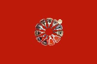 荆门市东宝回收红酒